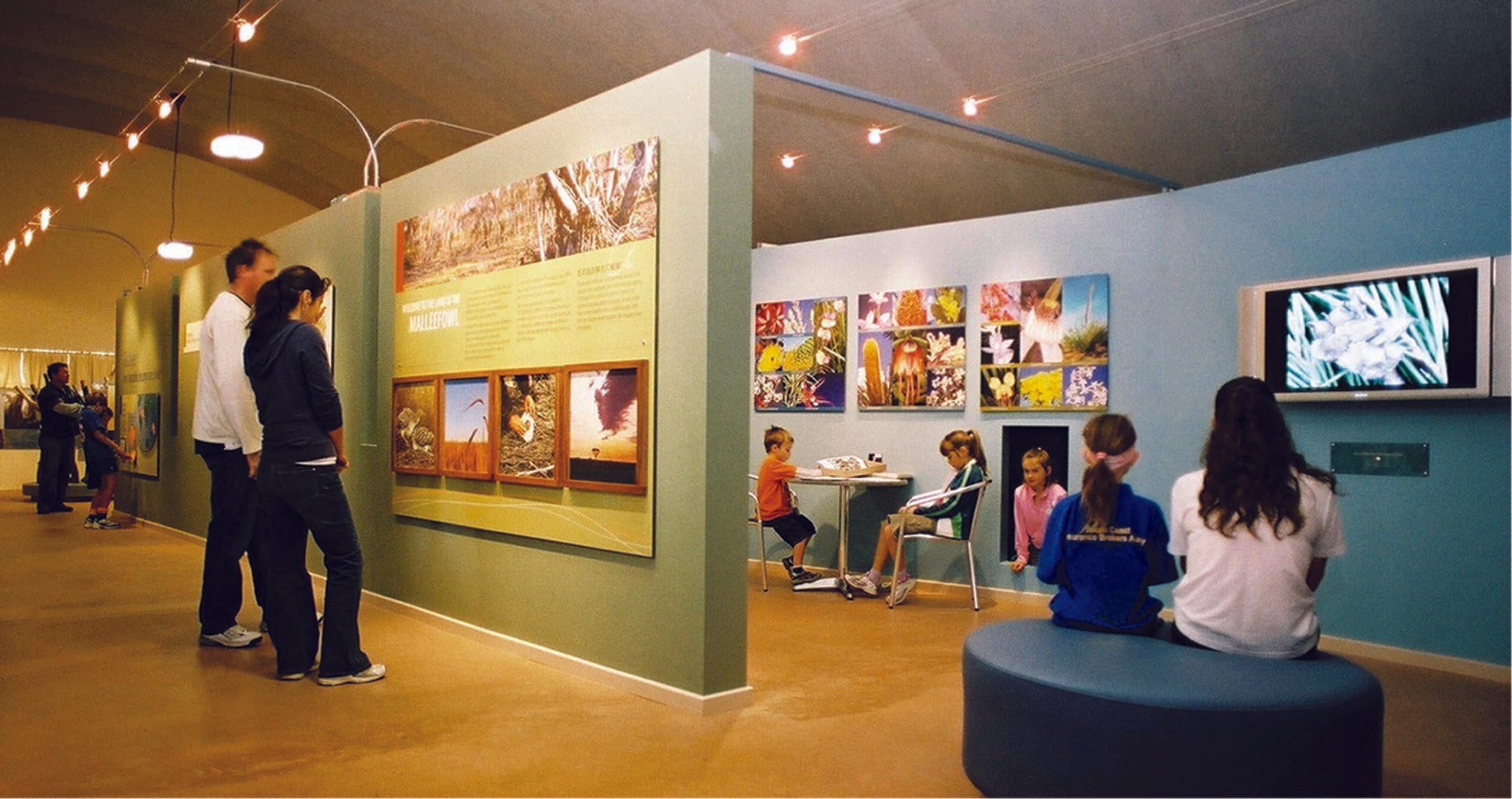 Visitor Experience